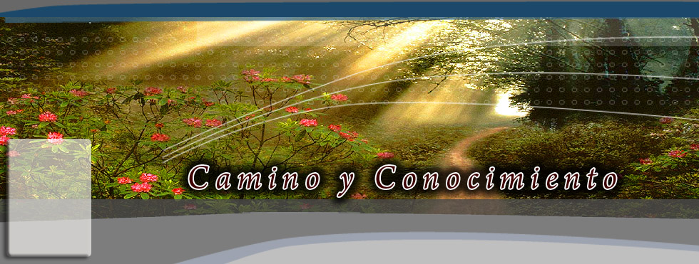 jquery slider